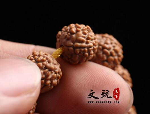 天然精品五瓣龙鳞纹连肉纹圆珠小金刚9mm佛珠手链-2